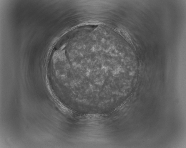 X0000073980145200609111817