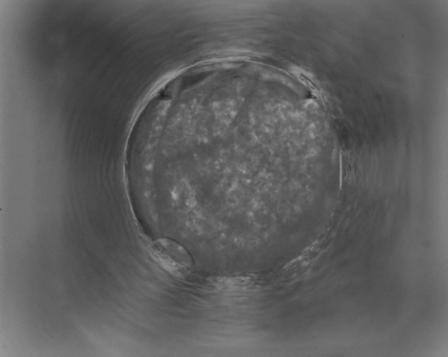 X0000073980147200609111817