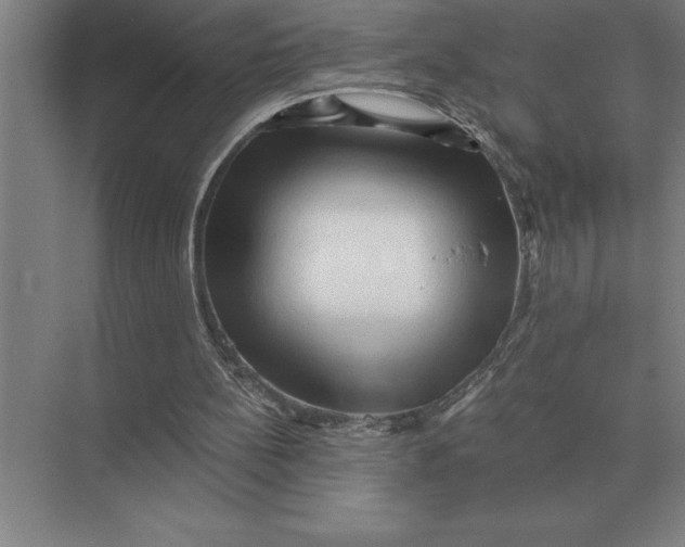 X0000073980148200609111817