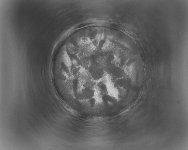 X0000073980149200609111817