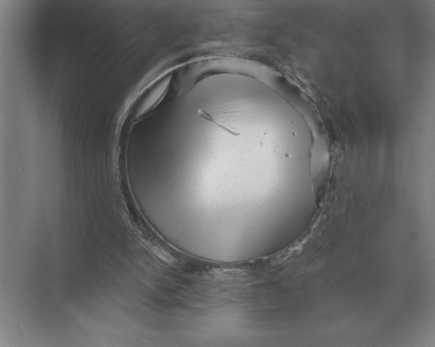 X0000073980150200609111817