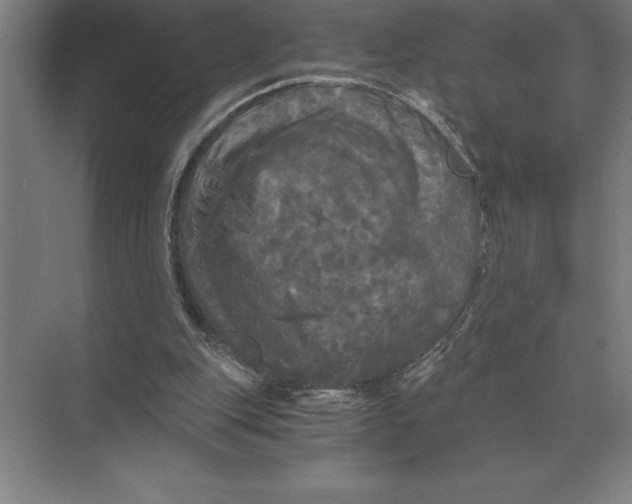 X0000073980151200609111817