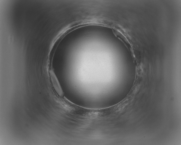 X0000073980152200609111817