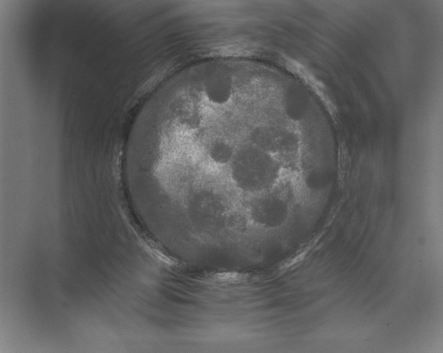 X0000073980153200609111817