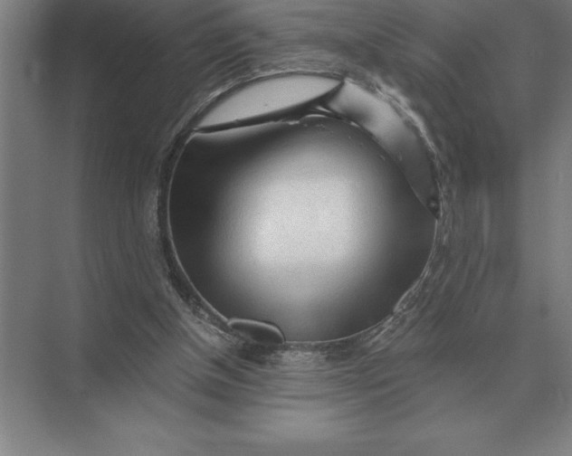 X0000073980154200609111817