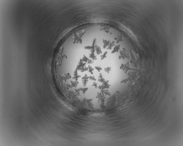 X0000073980155200609111817