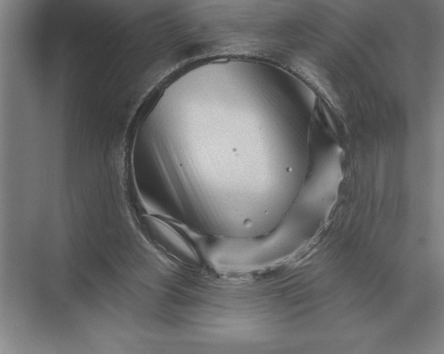 X0000073980156200609111817