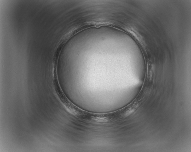 X0000073980157200609111817