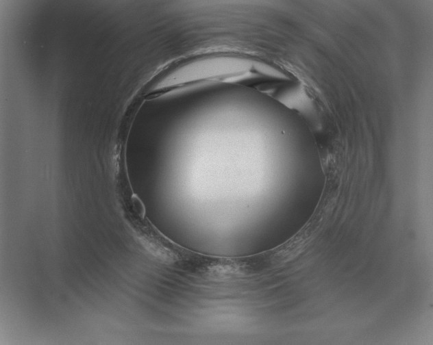 X0000073980160200609111817