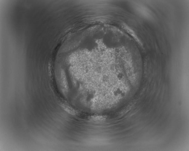 X0000073980161200609111817