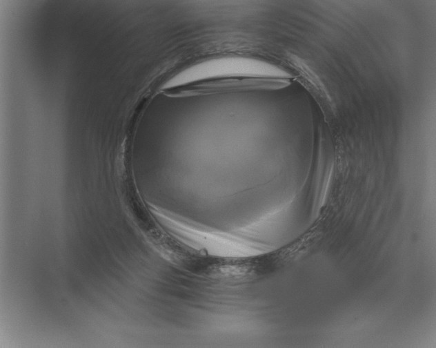 X0000073980163200609111817