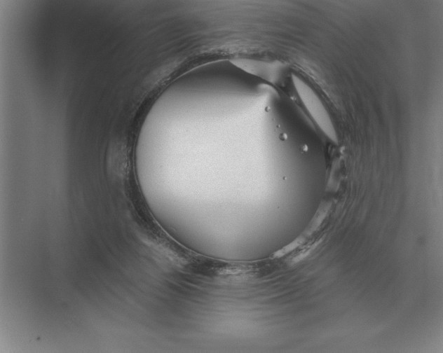 X0000073980164200609111817