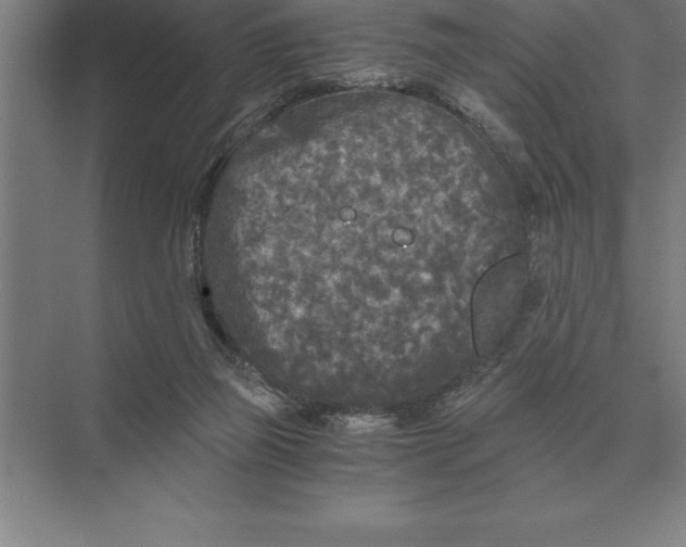 X0000073980165200609111817