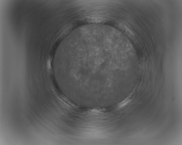 X0000073980166200609111817