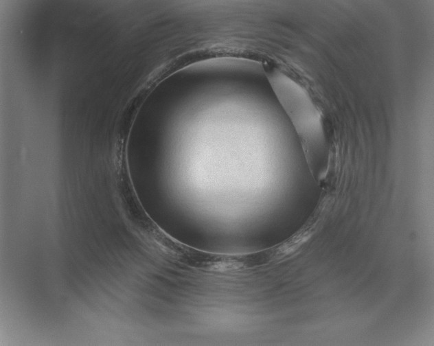 X0000073980168200609111817