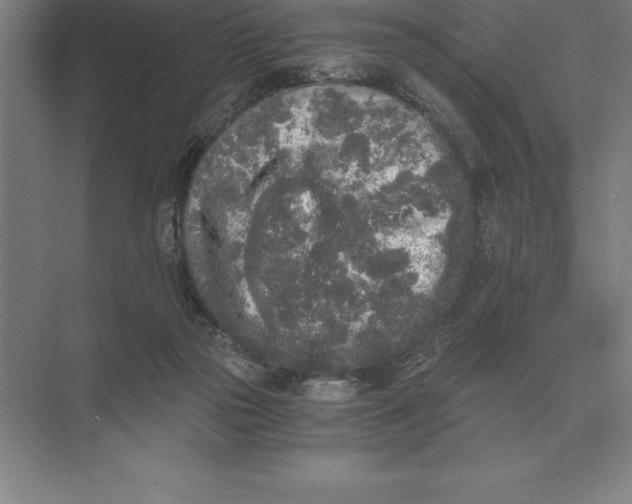 X0000073980169200609111817