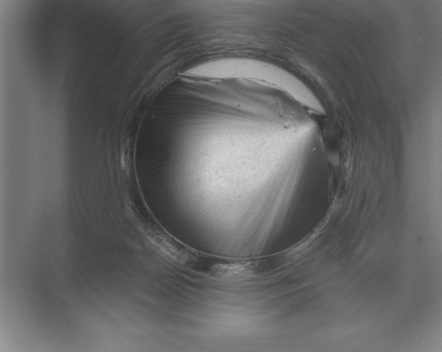 X0000073980170200609111817