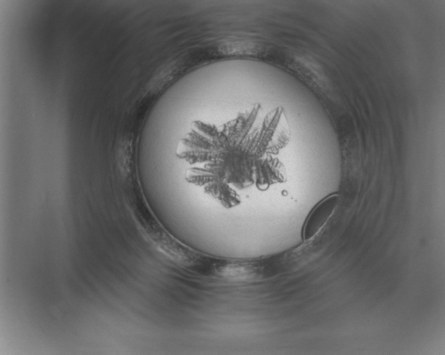 X0000073980171200609111817