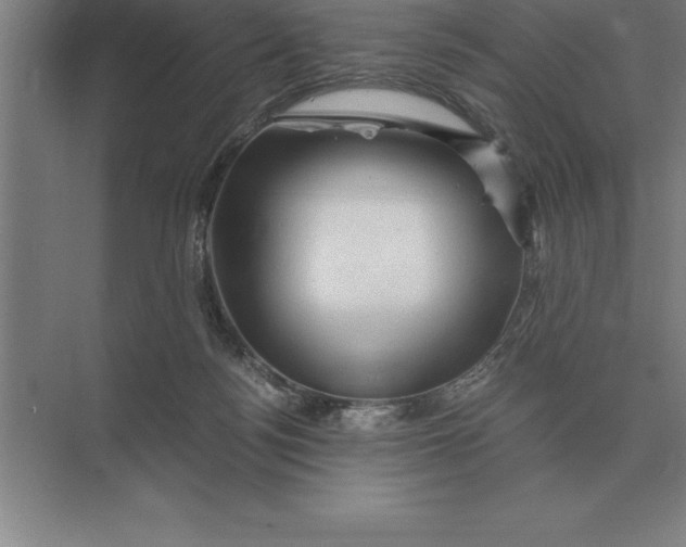 X0000073980172200609111817