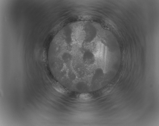 X0000073980173200609111817