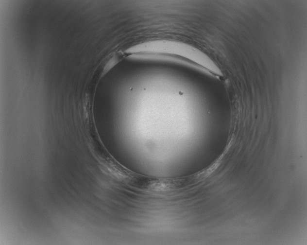 X0000073980174200609111817