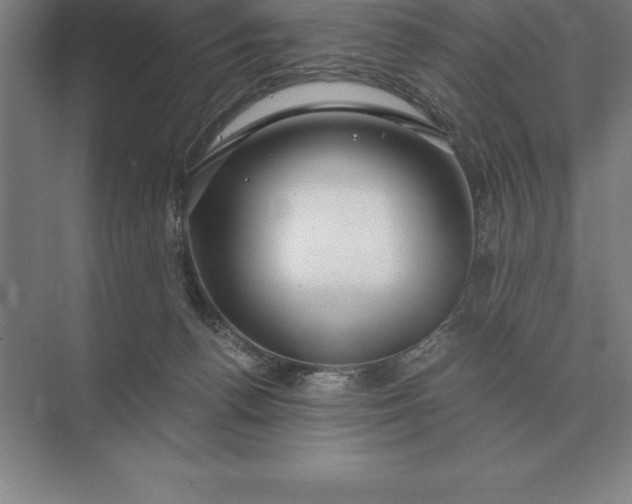 X0000073980176200609111817