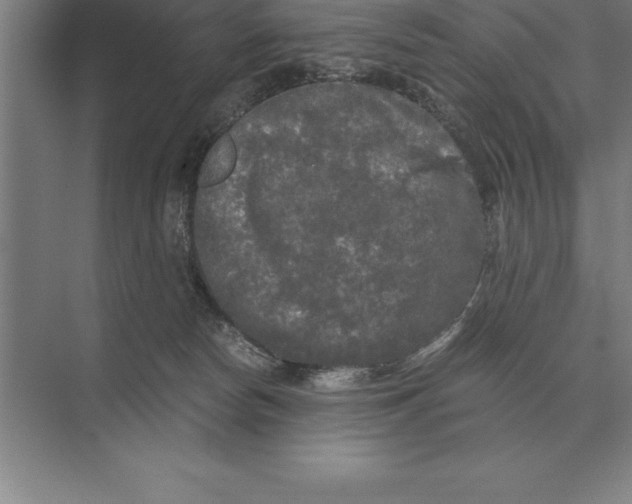 X0000073980178200609111817