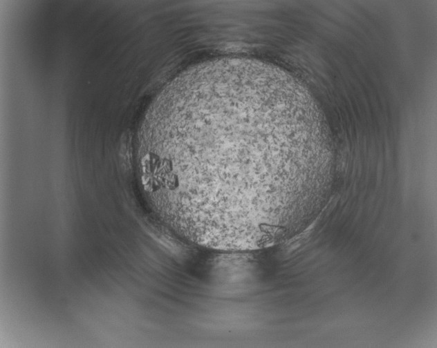 X0000073980179200609111817