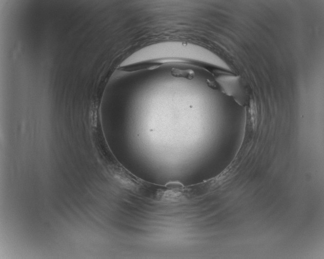 X0000073980180200609111817