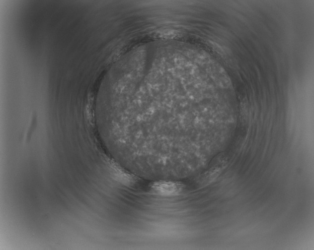 X0000073980181200609111817