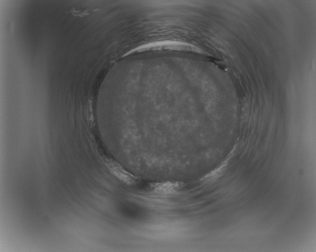 X0000073980182200609111817