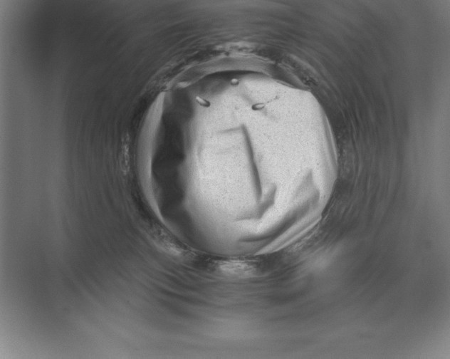 X0000073980183200609111817