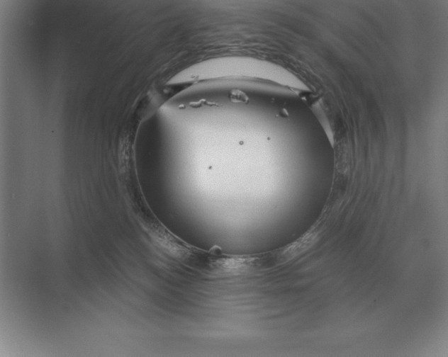 X0000073980184200609111817