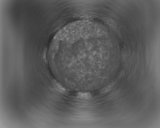 X0000073980185200609111817