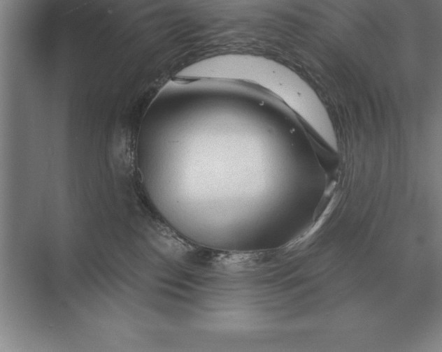 X0000073980186200609111817