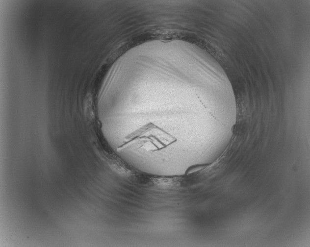 X0000073980187200609111817