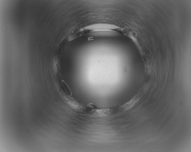 X0000073980188200609111817