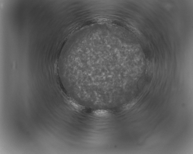 X0000073980189200609111817