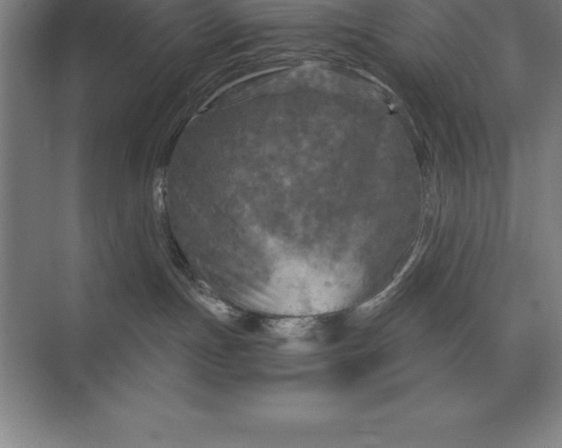 X0000073980191200609111817