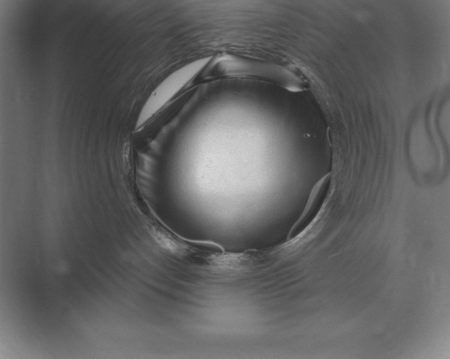 X0000073980192200609111817