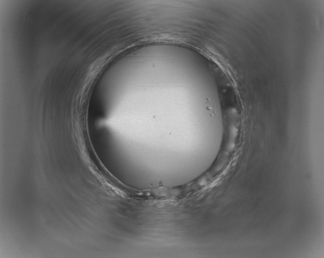 X0000073980193200609111817