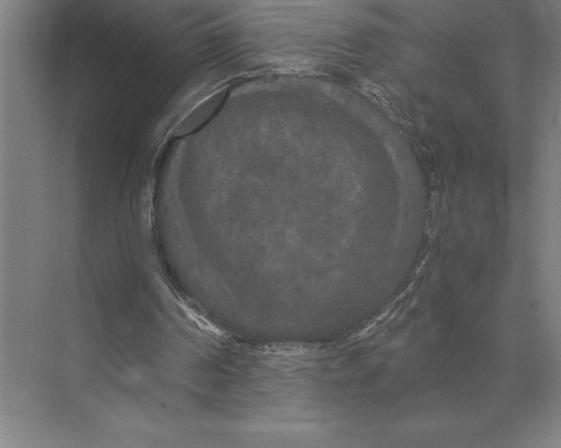 X0000073980194200609111817