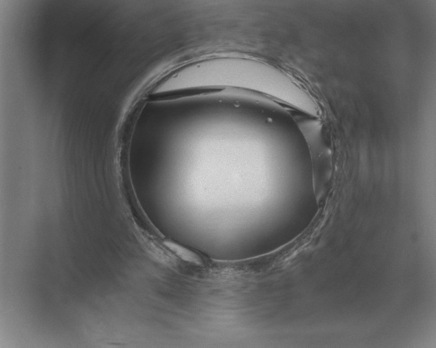 X0000073980197200609111816