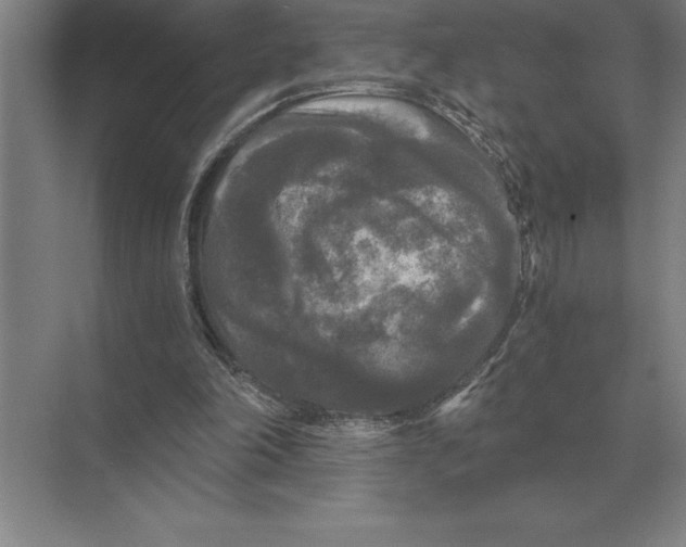 X0000073980198200609111816