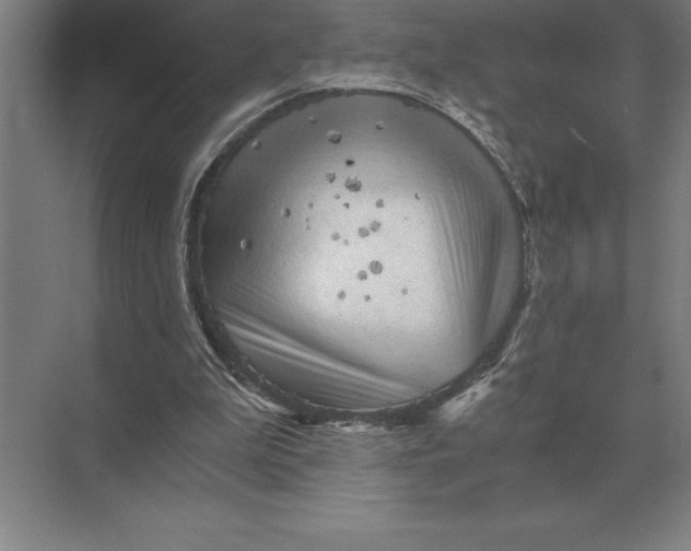 X0000073980199200609111816