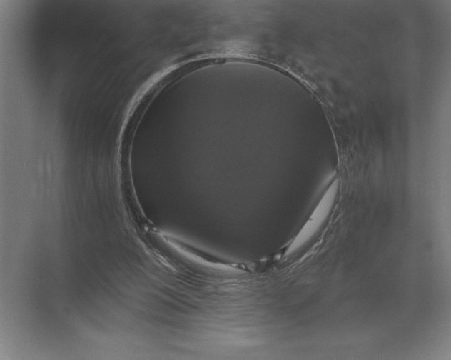 X0000073980200200609111816