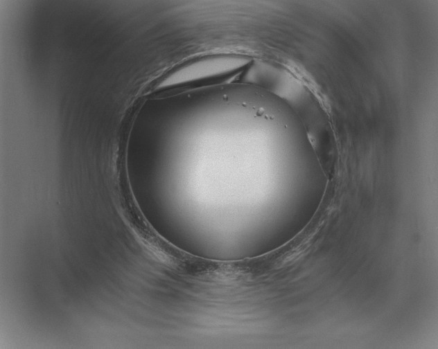 X0000073980201200609111816