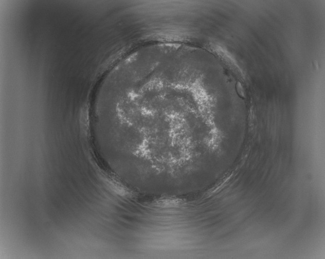 X0000073980202200609111816