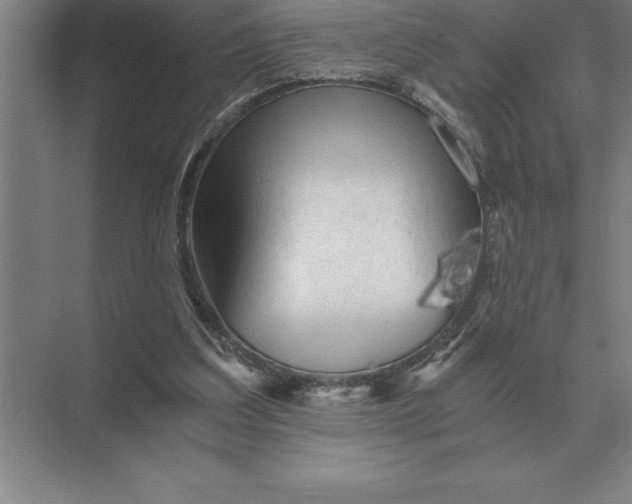 X0000073980203200609111816