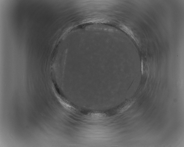 X0000073980205200609111816